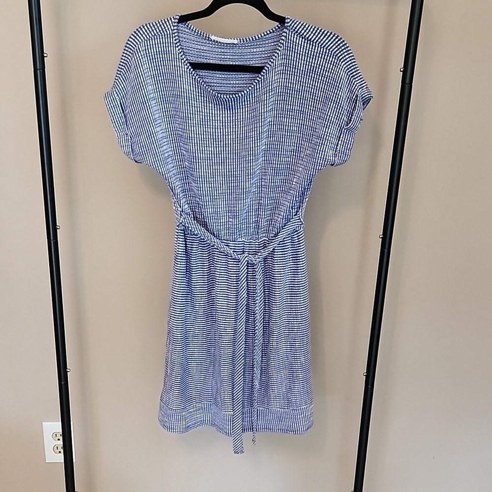 Caution To The Wind | Blue Striped Dress with Belt